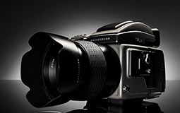 深圳数码相机小黄片下载入口